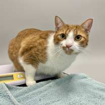 Thumbnail photo of Garv #1