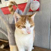 Thumbnail photo of Mixer #2