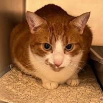 Thumbnail photo of Garv #2