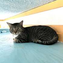 Thumbnail photo of Perch #2