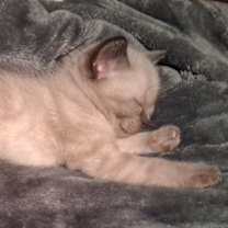 Thumbnail photo of None #1