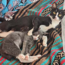 Thumbnail photo of Donut #3