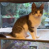 Thumbnail photo of Mary Kate #1