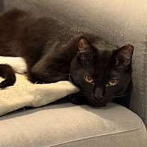 Thumbnail photo of Void #3