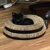 Thumbnail photo of Danny #2