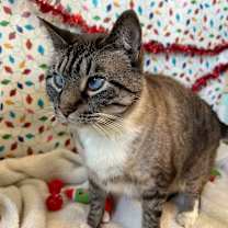 Thumbnail photo of Leopold #3