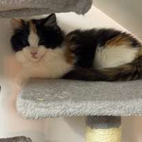 Thumbnail photo of Jenny #3