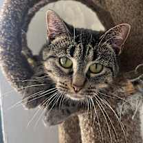 Thumbnail photo of BonBon #1