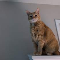 Thumbnail photo of Wally #2