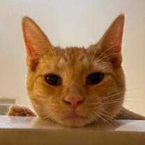 Thumbnail photo of Fire Truck (KEB) #2