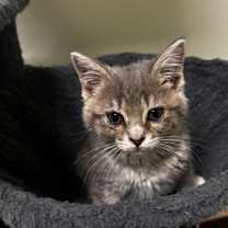 Thumbnail photo of Miami #1