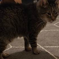 Thumbnail photo of Smash #2