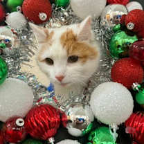 Thumbnail photo of Logan #1