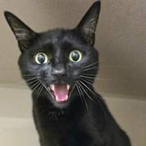 Thumbnail photo of Sid #3