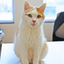 Thumbnail photo of Logan #3