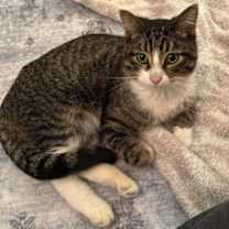 Thumbnail photo of Lantern #1