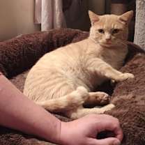 Thumbnail photo of Tobie #3