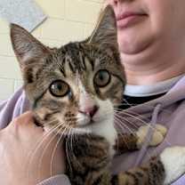 Thumbnail photo of Perry #1