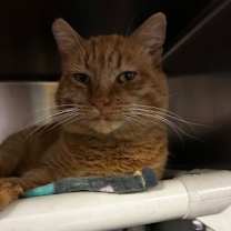 Thumbnail photo of John Boy #2