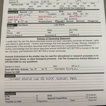 Thumbnail photo of Kimchi* #3