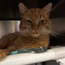 Thumbnail photo of John Boy #3