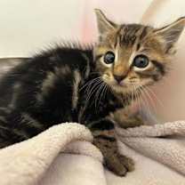 Thumbnail photo of Bologna #1