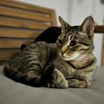 Thumbnail photo of Chata #2