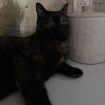 Thumbnail photo of Elphaba #4