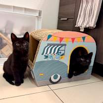 Thumbnail photo of Frankenstein #2