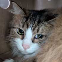 Thumbnail photo of Ivan #2