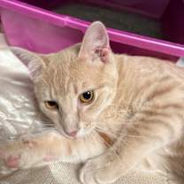 Thumbnail photo of Hot Topic #1