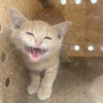 Thumbnail photo of Hot Topic #2