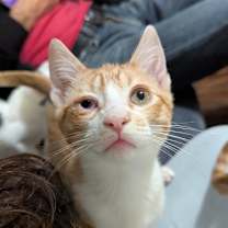 Thumbnail photo of Doomsday #1