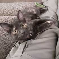 Thumbnail photo of Christina "Chrissy" #1