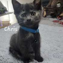 Thumbnail photo of Christina "Chrissy" #2