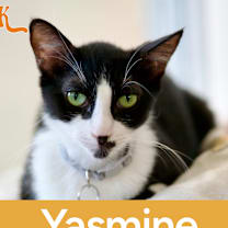 Thumbnail photo of Yasmin #3