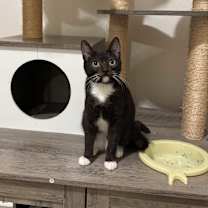 Thumbnail photo of Ducky #1