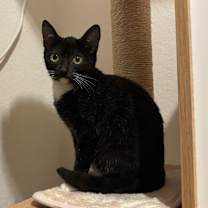 Thumbnail photo of Ducky #2