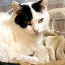 Thumbnail photo of Jack #1