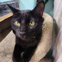 Thumbnail photo of Brooklyn #3