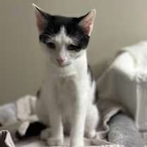 Thumbnail photo of Everett #3