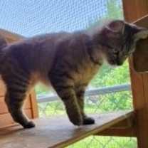 Thumbnail photo of Ruthie #2