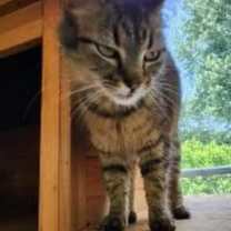 Thumbnail photo of Ruthie #4