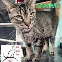 Thumbnail photo of Sammy #1