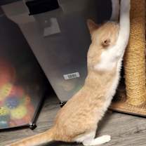 Thumbnail photo of Denver #3