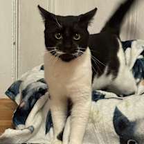 Thumbnail photo of Ozzy Osbourne #3