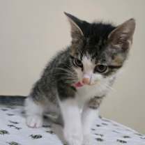 Thumbnail photo of JJ #2