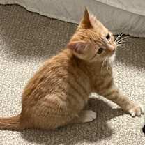 Thumbnail photo of Felicity #3