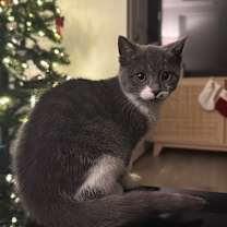 Thumbnail photo of Eleanor #1