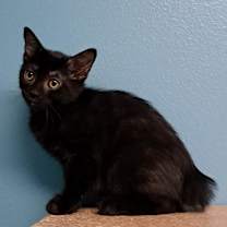 Thumbnail photo of Antonia #3